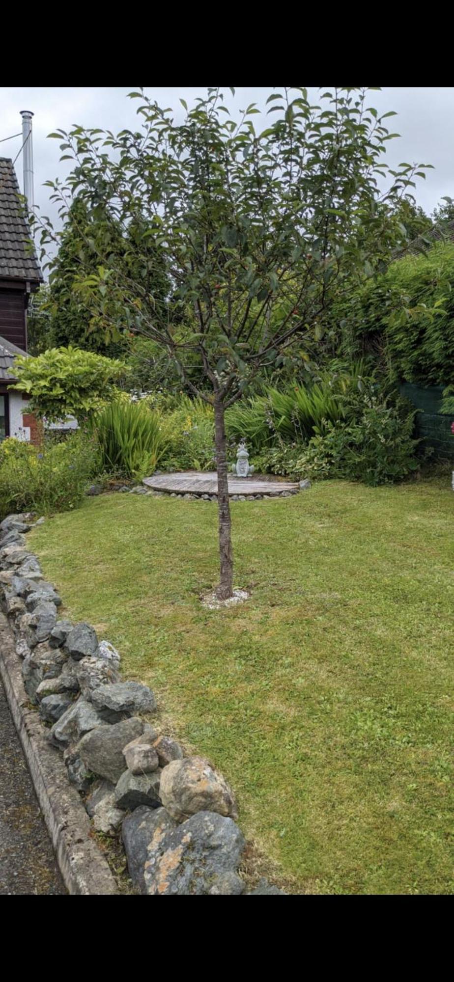 Contemporary Highland House Close To Town And Ben Nevis フォート・ウィリアム エクステリア 写真